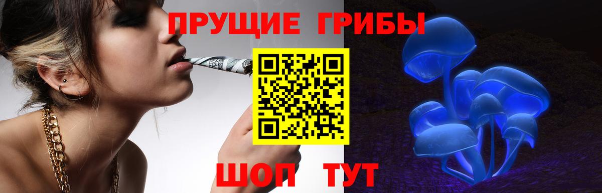 Галлюциногенные грибы прущие грибы  Галлюциногенные грибы мухоморы  Вход с VPN  Сокол 